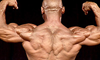 Anthony Pampena