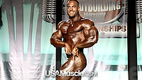 Image from 2013 IFBB PBW Tampa Pro Championships