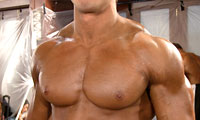 Matt Norman