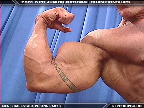 Chris Havekost