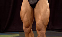 Wayne Williams