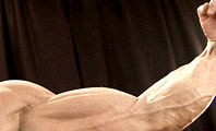 Anthony Pampena