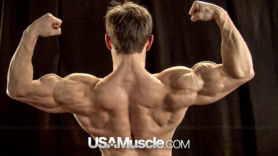 David Savino