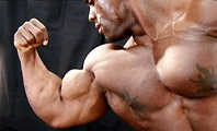 Clip preview from 2008 NPC USA Bodybuilding Championships Men’s Backstage Posing Part 3